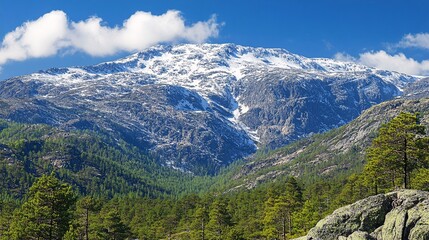 Obraz premium Beautiful mountain landscape with snow-capped peaks and lush green forest below