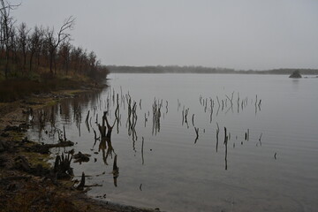 Villardeciervos , Zamora