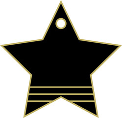 Black and Gold Gift Tag in Star Shape