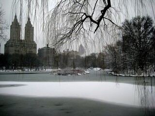 Snowy Lake and Skyline in Central Park (New York, New York, USA)
