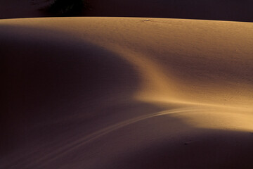 Africa, Erg Chebbi, Morocco. Desert dune contrast.