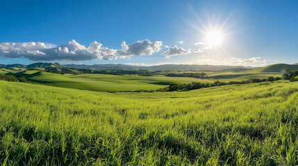 Obraz premium Lush Green Field Under Blue Sky and Bright Sunlight