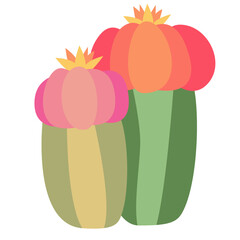 Couple desert plant - cacti