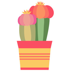 Cacti in a flower pot