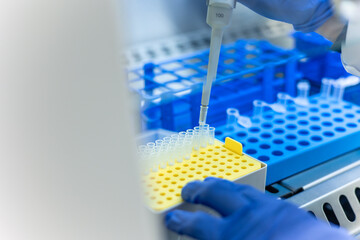 Scientist using micropipette adding sample into microtubes inside a biosafety cabinet