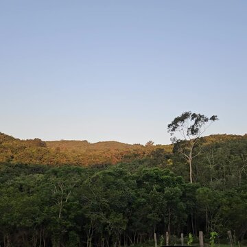 Colet&acirc;nea Sitio