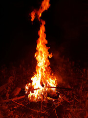 Flame of the evening fire