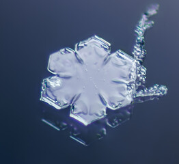 An Intricate and Beautiful Closeup of a Snowflake Captured in Stunning, High Detail and Clarity