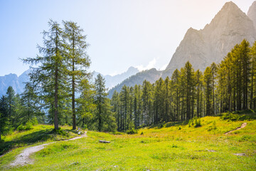 Majestic mountains rise in the background while a winding trail leads through vibrant green meadows...