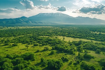 Fototapeta premium Majestic mountain rises over lush green savanna landscape under a vibrant sky at sunset