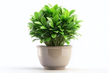 Obraz premium 3D Render of Isolated Potted Plant, Lush Green Foliage, Ceramic Pot, Houseplant, Indoor Plant