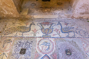 Tunis, Tunisia. Tile mosaic floor at the Baths of Antoninus in Carthage.