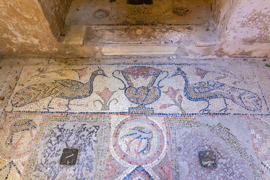 Tunis, Tunisia. Tile mosaic floor at the Baths of Antoninus in Carthage.