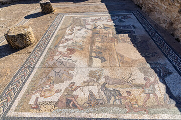 Ben Arous, Tunisia. Roman mosaic floor showing an agrarian scene at the Uthina Archaeological Site.