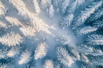 Enchanting winter wonderland with snow-covered trees and serene atmosphere in a tranquil forest