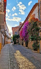 Typical cobbled streets in the historic centre of Caceres