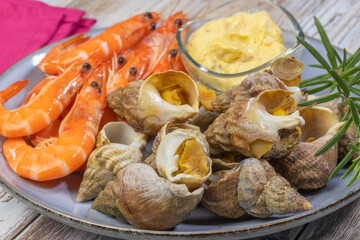 assiettes de crevettes et bulots, en gros plan