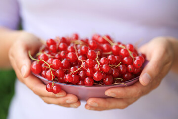 Hands holding a bowl full of red currant berries