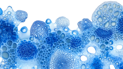 A blue water soap bubble isolated on white background