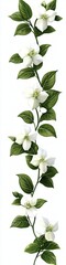 Fototapeta premium Delicate white flowers with lush green leaves, symbolizing beauty and tranquility.