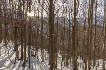 Obraz premium Splendida giornata soleggiata in montagna con la neve