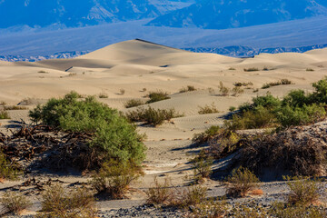 A desert landscape with a small path through the sand