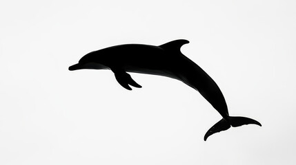 Fototapeta premium Vector logo Dolphin. Dolphin jump
