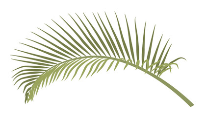 palm branch for palm sunday © Viktoriia Kalganov