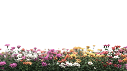 Blurred garden background isolated on white background