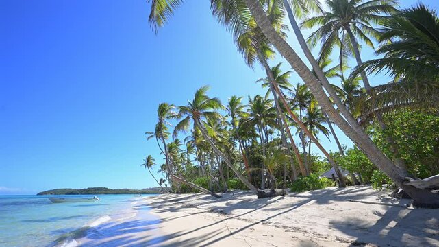Pacific Island Paradise - Palm trees line white sandy beach in dream holiday destination Fiji