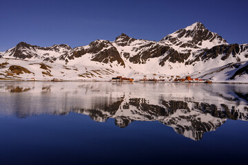 South Georgia Island. Grytviken was founded as a whaling village and Shackleton died here.