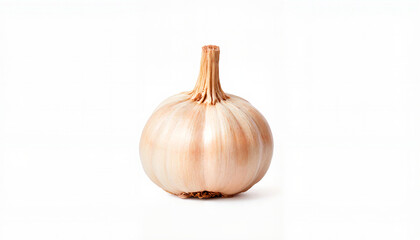 Fresh whole garlic bulb isolated on white background