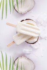 Picolé sabor coco no fundo branco com pedaços de coco e folhas de coqueiros no fundo.