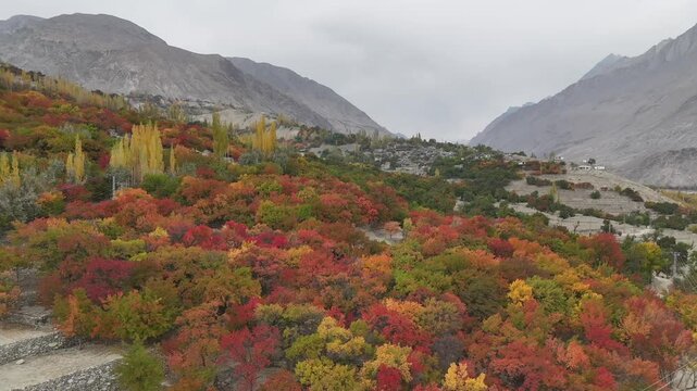 Vibrant aerial view of Hunza Valley, during autumn. Among the rocky mountains. Pakistan