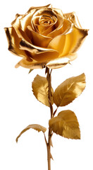 PNG Gold rose flower decoration sculpture.