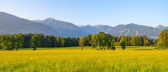 Fototapeta premium Rolling green fields and vibrant trees greet the eye in a summer landscape in the Low Tauern Mountains of Austria. The majestic peaks rise in the distance under a clear blue sky.