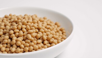 Vibrant vegan dish featuring sorghum grain in muted colors against a white backdrop healthy plant-based