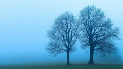 Fototapeta premium Misty Morning Landscape with Silhouetted Trees - A Tranquil and Peaceful Scene of Nature's Beauty