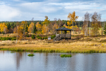 The vibrant autumn colors surround the serene Pernink peat bog, showcasing golden foliage and a...