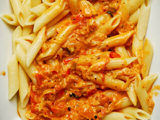 Cooked pasta dish with cheese sauce and herbs in white square plate. Italian style food.