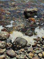 Rocky Shoreline Meets Crystal Waters