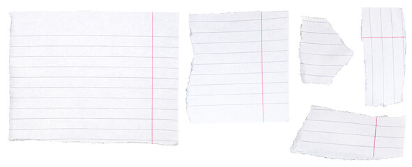 Set of torn paper of note book on transparent backgorund