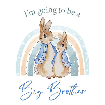 I'm Going to Be a Big Brother - Peter Rabbit and Rainbow Graphic for Sibling Announcement