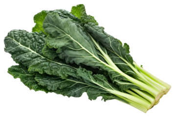 PNG Italian kale vegetable plant food.