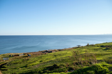 A herd of cattle grazing on a lush green field