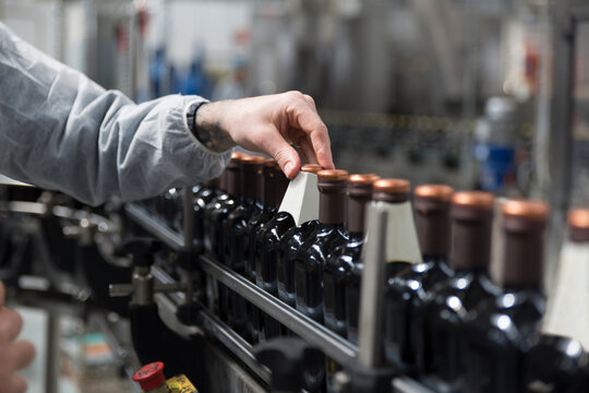 Worker inspecting bottles on a bottling production line

