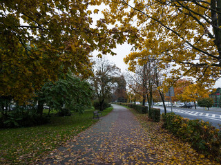 Naklejka premium City Park (Park im. Powstańców Wielkopolskich 1918-1919) in Śrem, Wielkopolska, Poland 