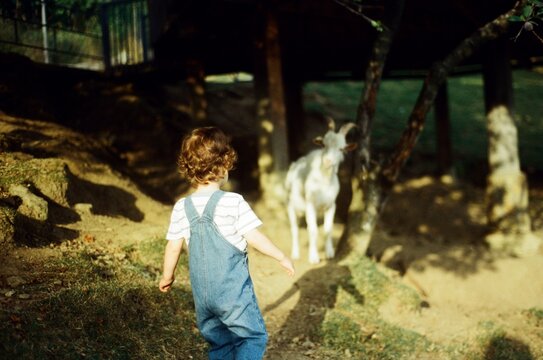 Child Running Around The Farm