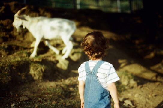 Child Running Around The Farm