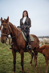 Fototapeta premium A person riding a horse in a field